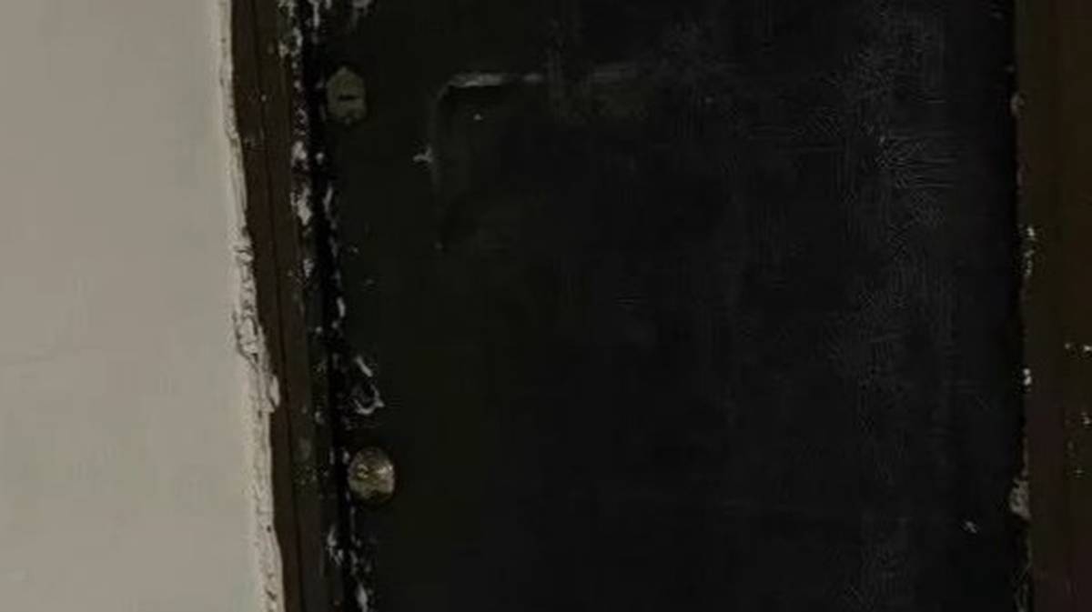 В Москве женщине запретили содержать дома животных из-за концентрации аммиака