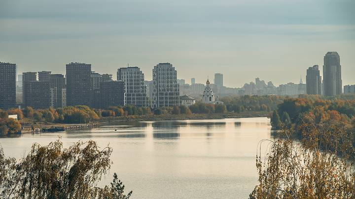 Фото: Дмитрий Дубинский / Вечерняя Москва
