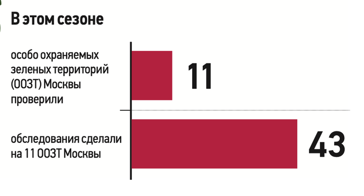 Осторожно, «зеленые захватчики»: как Москва избавляется от опасных растений