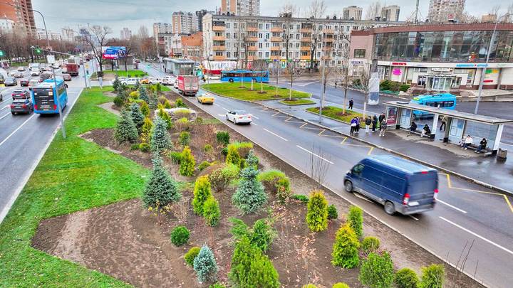 Деревья для украшения столичных улиц берут в специализированных питомниках 