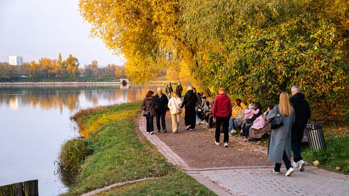 Фото: Андрей Прошин / Вечерняя Москва