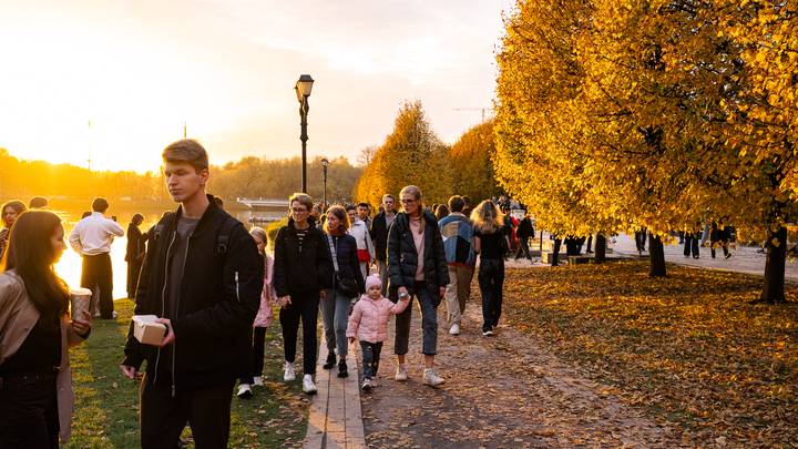 Фото: Андрей Прошин / Вечерняя Москва